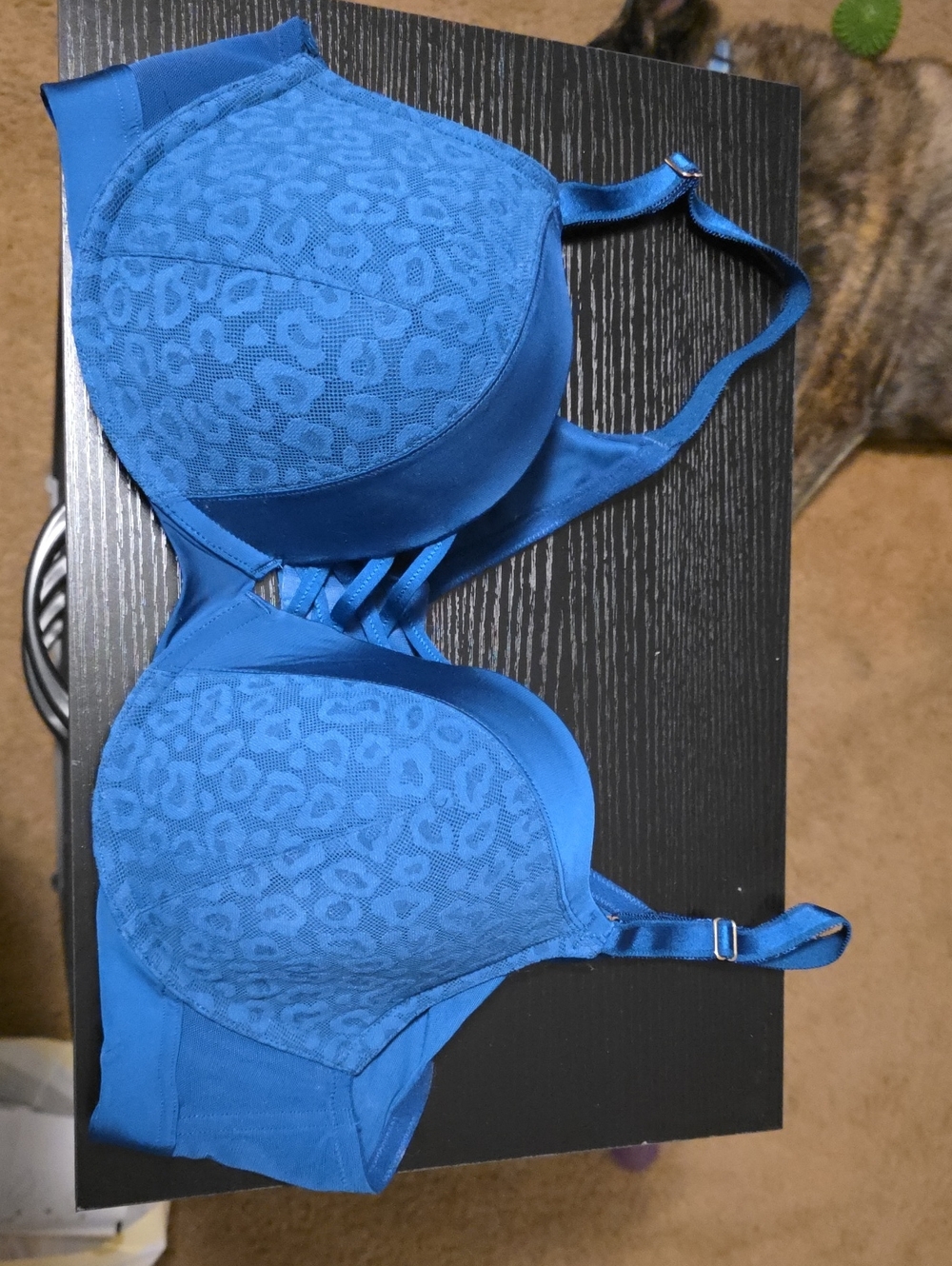 Blue Leopard Lace T-Shirt Bra - Unbranded